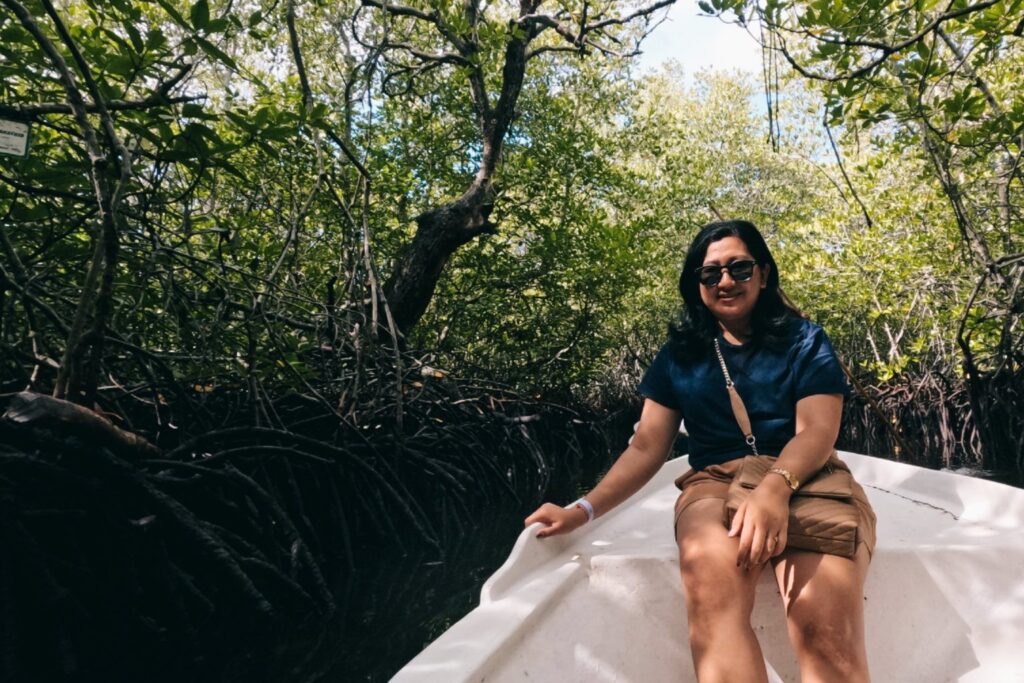 Package Mangrove